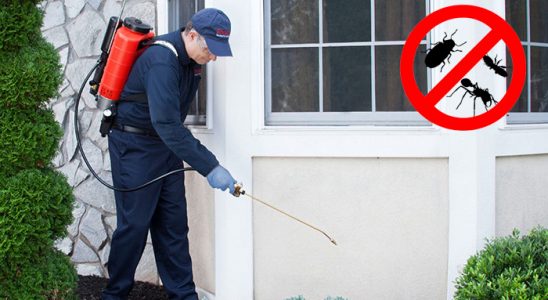 Olur Haşere İlaçlama böcek ilaçlama ve haşere kontrolü — ilaclama-tr.com